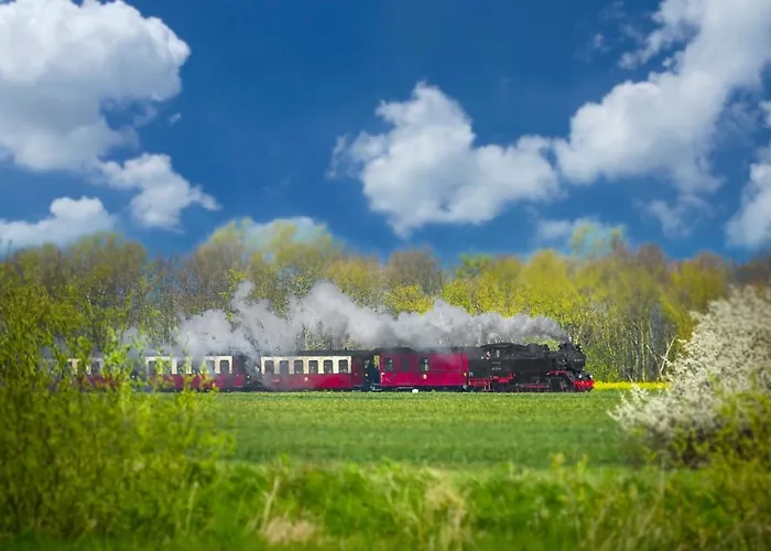 NP Hotel Wittenbeck Hotel 4*